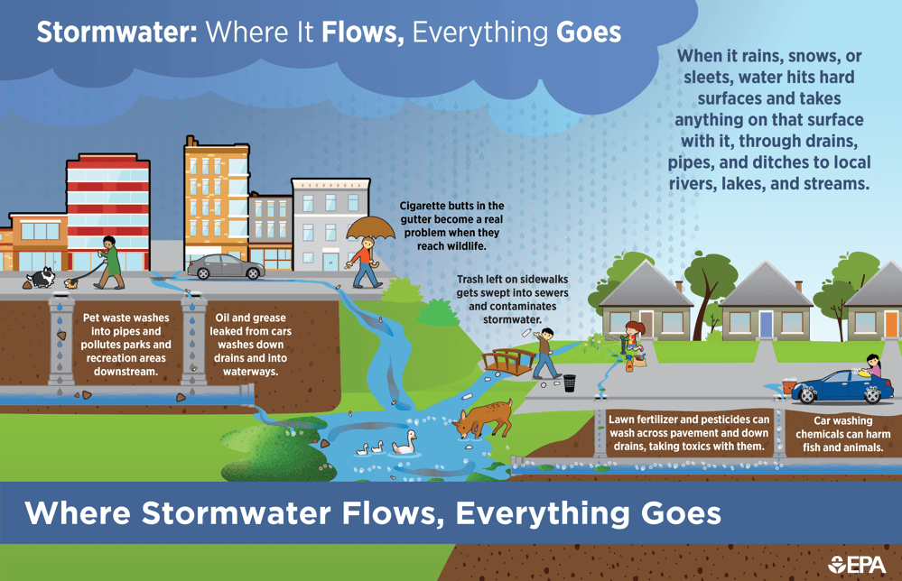 Municipal Separate Storm Sewer System (MS4) Infographic